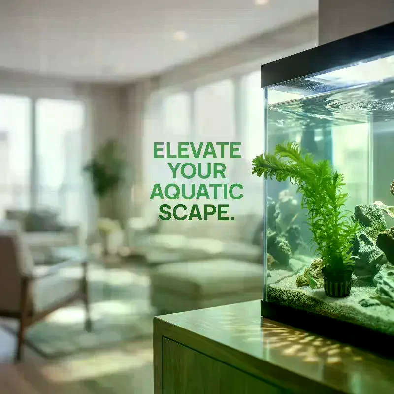 Pet Fish Tank Plant Holders 4  - Aquarium Plant Nursery บทวิจารณ์และราคา