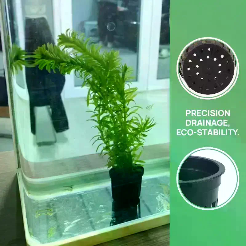 Pet Fish Tank Plant Holders 4  - Aquarium Plant Nursery บทวิจารณ์และราคา