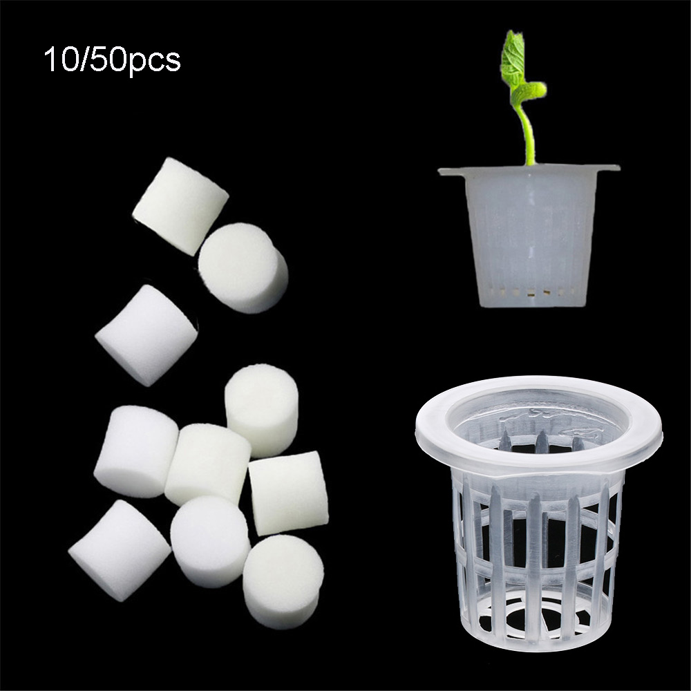 10/50pcs Durable Planting Aqua - Aquarium Plant Nursery บทวิจารณ์และราคา