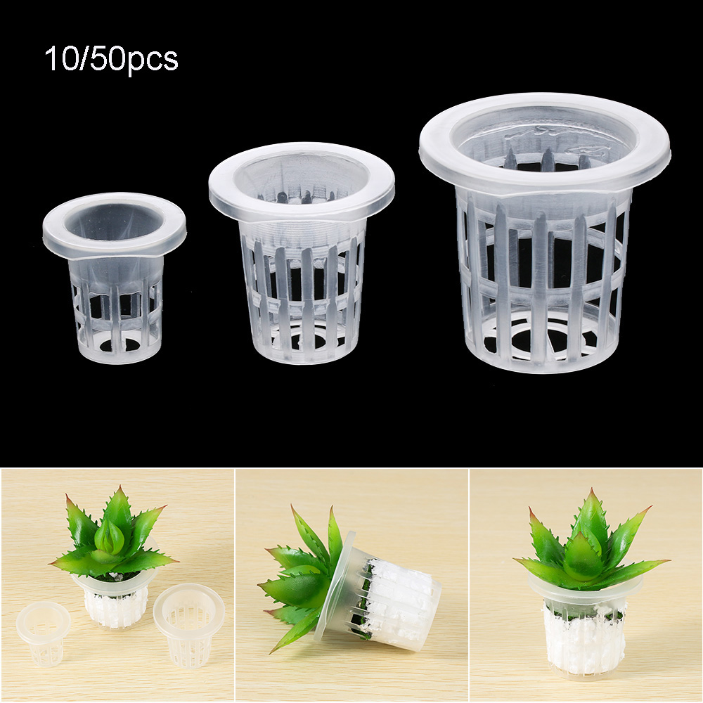 10/50pcs Durable Planting Aqua - Aquarium Plant Nursery บทวิจารณ์และราคา