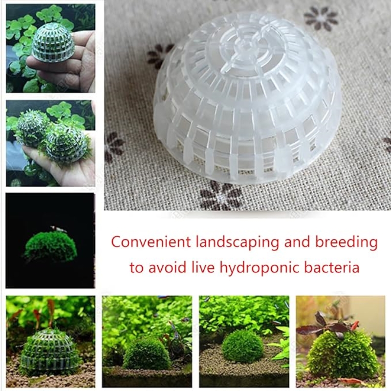 2pc Aquarium Moss Ball Holder, - Planted Aquarium Models บทวิจารณ์และราคา