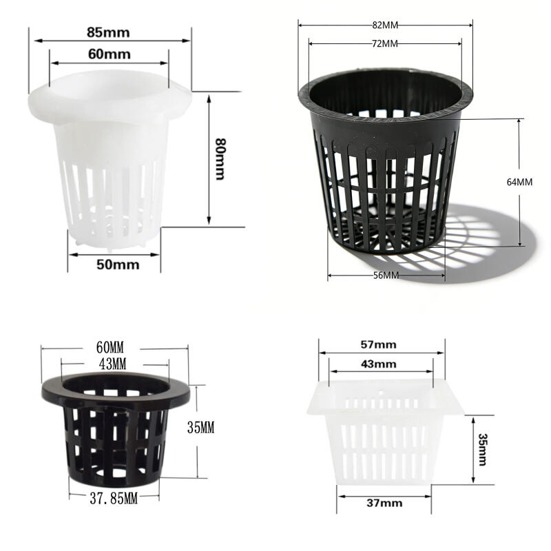 5/10Pcs Hydroponic colonizatio - Aquarium Plant Nursery บทวิจารณ์และราคา