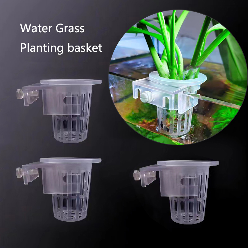 Aquarium Planting Basket Hydro - Aquarium Planted Wall บทวิจารณ์และราคา