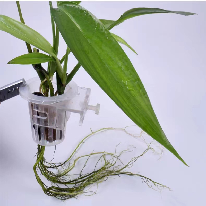 Aquarium Planting Basket Hydro - Aquarium Planted Wall บทวิจารณ์และราคา