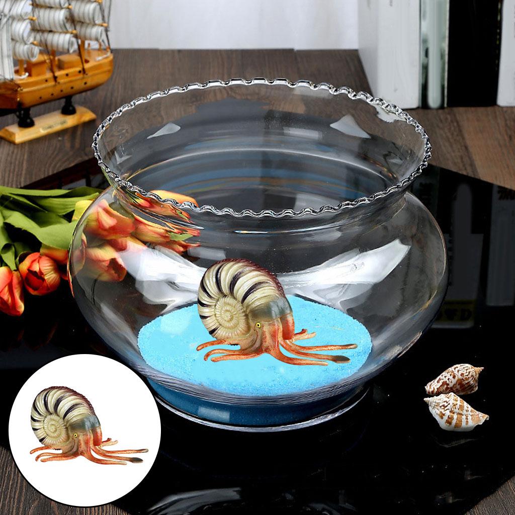 Simulation Conch Animal Figure - Planted Aquarium Models บทวิจารณ์และราคา