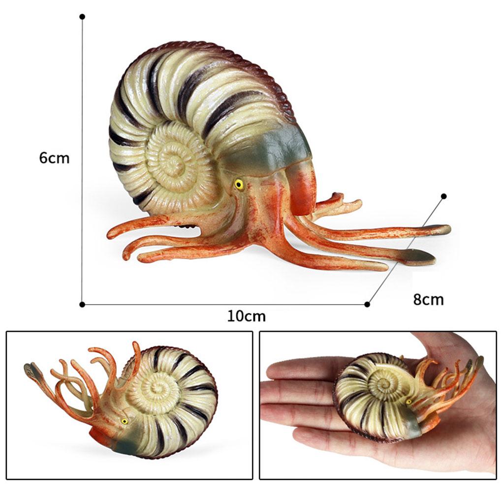 Simulation Conch Animal Figure - Planted Aquarium Models บทวิจารณ์และราคา