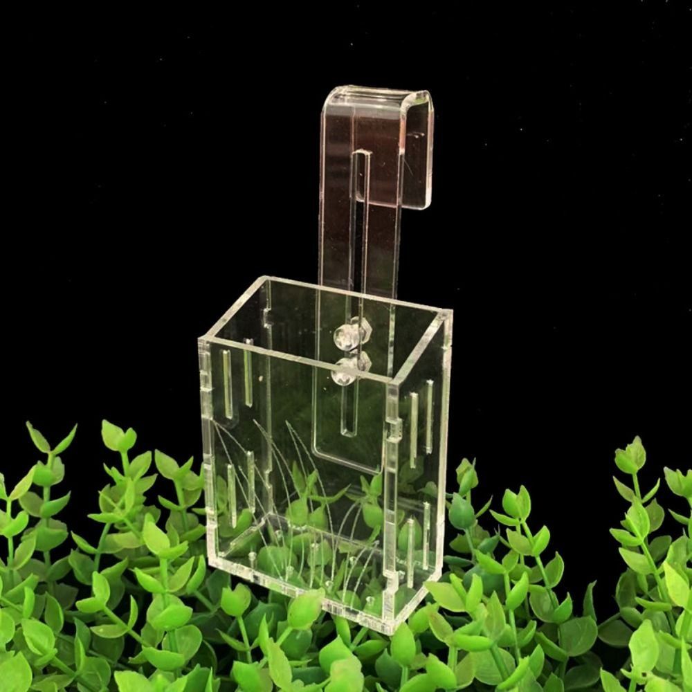 Wall Hanging Aquarium Plants C - Aquarium Planted Wall บทวิจารณ์และราคา