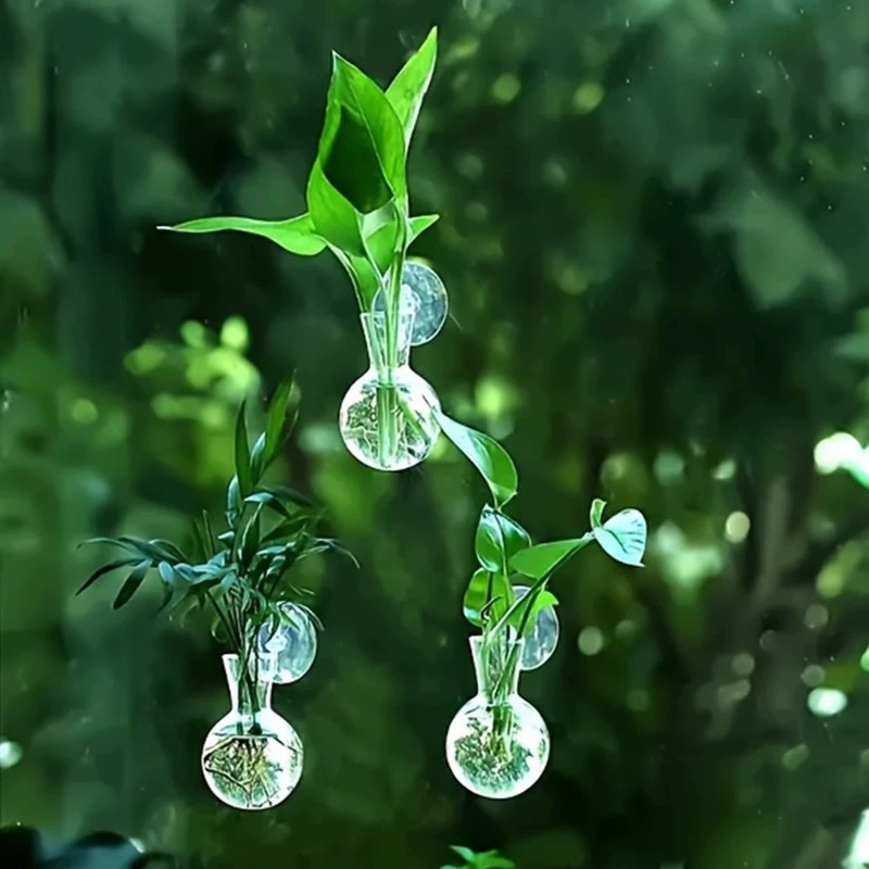 Creative Semi Circular Class W - Aquarium Planted Wall บทวิจารณ์และราคา