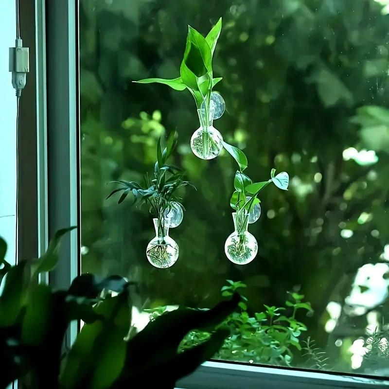 Creative Semi Circular Class W - Aquarium Planted Wall บทวิจารณ์และราคา