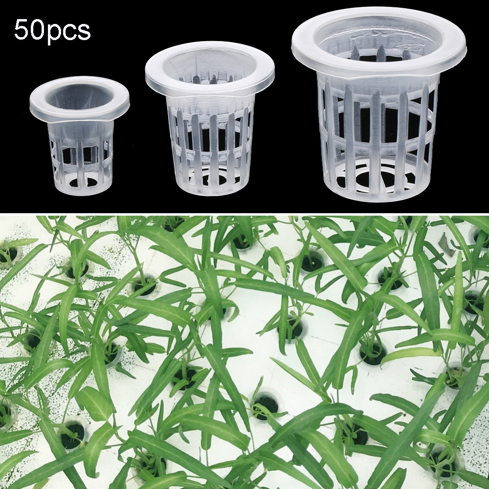 10/50pcs Garden Supplies Plant - Aquarium Plant Nursery บทวิจารณ์และราคา