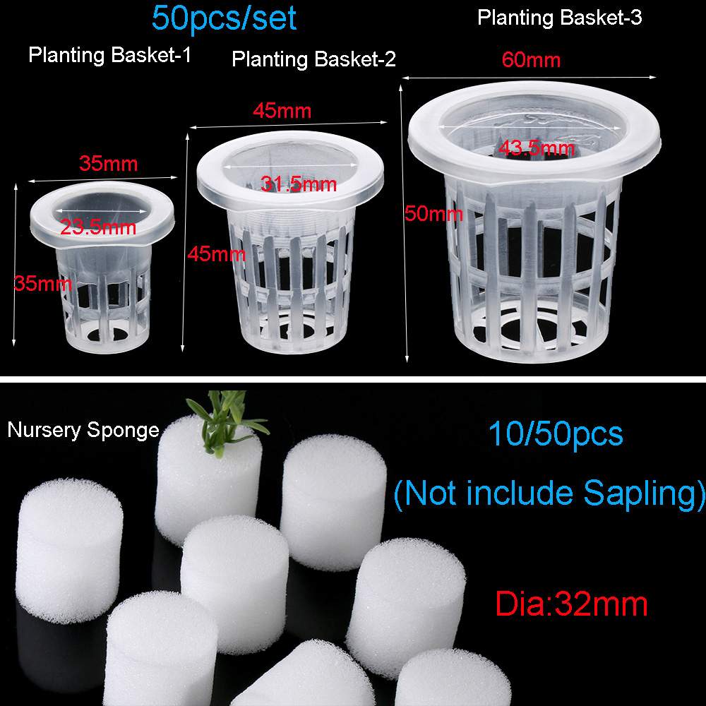 10/50pcs Garden Supplies Plant - Aquarium Plant Nursery บทวิจารณ์และราคา